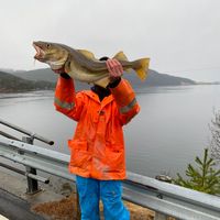 carppkemadnes