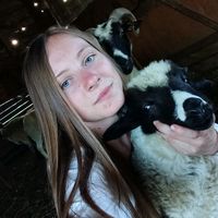 corinabogdan95