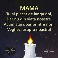 p.elena26