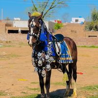 abdul.rehman736