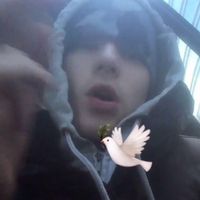 sadboysarchive