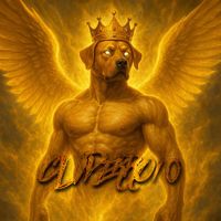 cliperro10