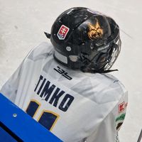 timko._.11