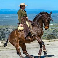 eduardoduran2872