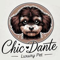 chicdante