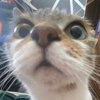 .billieef4nn