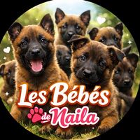 lesbebesdenaila