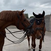 rekaemma.eq