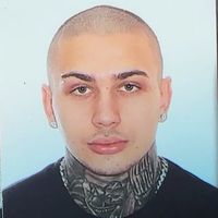elnene_2009_