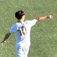 paologalli_10
