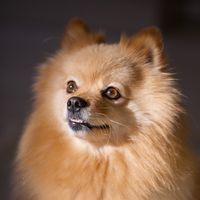 lexie.mittelspitz
