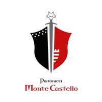 pistonierimc