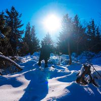 shutterspeed_wonderer09