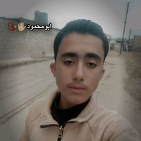 الصوت الأصلي - ابــــو مـــحـــمــود