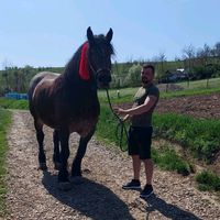 ovidiu.hangan