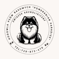dźwięk oryginalny
