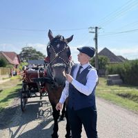 princz_d