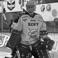 alkuperäinen ääni