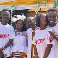 nsemsisitv1
