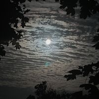 ttv_mpshadow123454