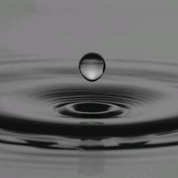 raindropsonmysoul
