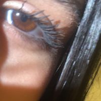 blendushi1