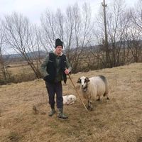 parotapavel0