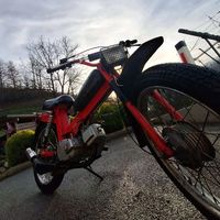 nik_gobec4