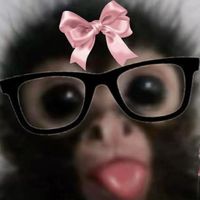 stitch_81629