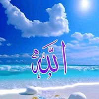 saifbro443