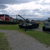 bica_244