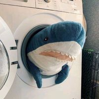 willy_theshark