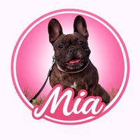 mia_french_bulldog2023