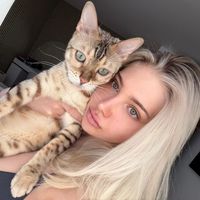 blackwidof
