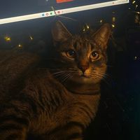 kleines_sockyy
