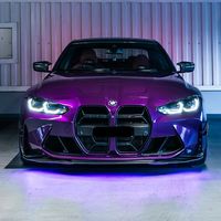 abzi293