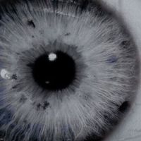 vviinnssttonn