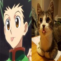 miyokillumi