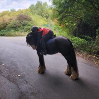 kobiethecob1