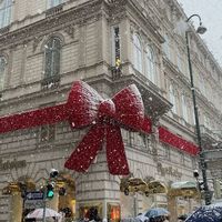 xx.christmas_vibes.1xx