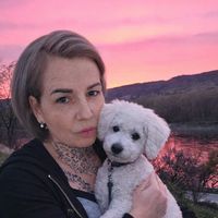 benny.the.bichon