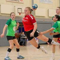 lina.handball14