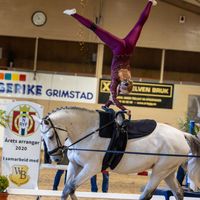 vaulting.emma