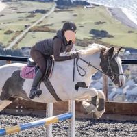 1 girl 4 horses