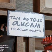 orijinal ses