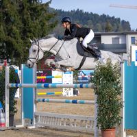 celineshorses