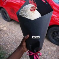 kingzaddy260