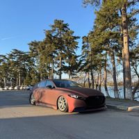 bzlns01