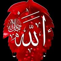subhan.typistt4