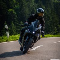 yzfr.tarek